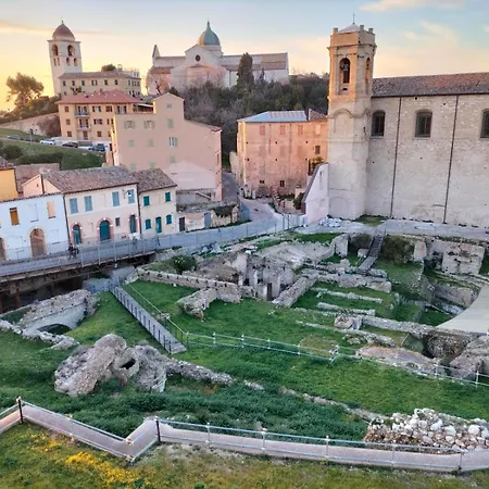 Nautilus אנקונה